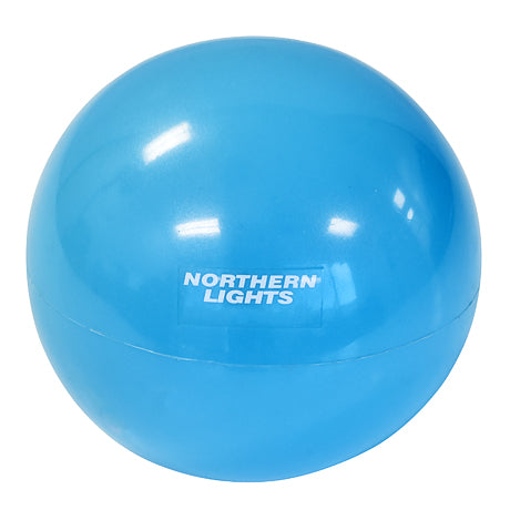 Weighted Pilates Ball, 8lbs